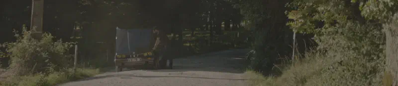 Featured image of post Festina Lente