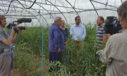 Featured image of post MCV Meuse