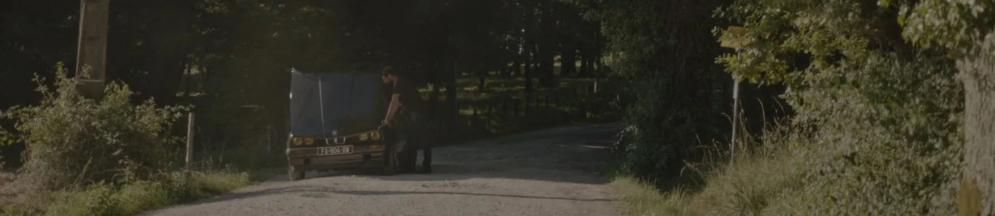 Featured image of post Festina Lente