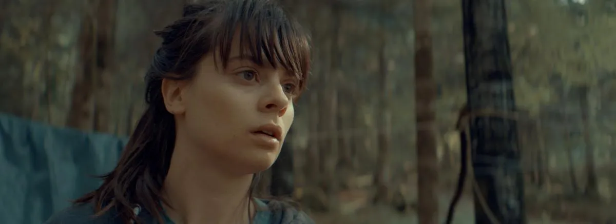 Featured image of post Les Volutes