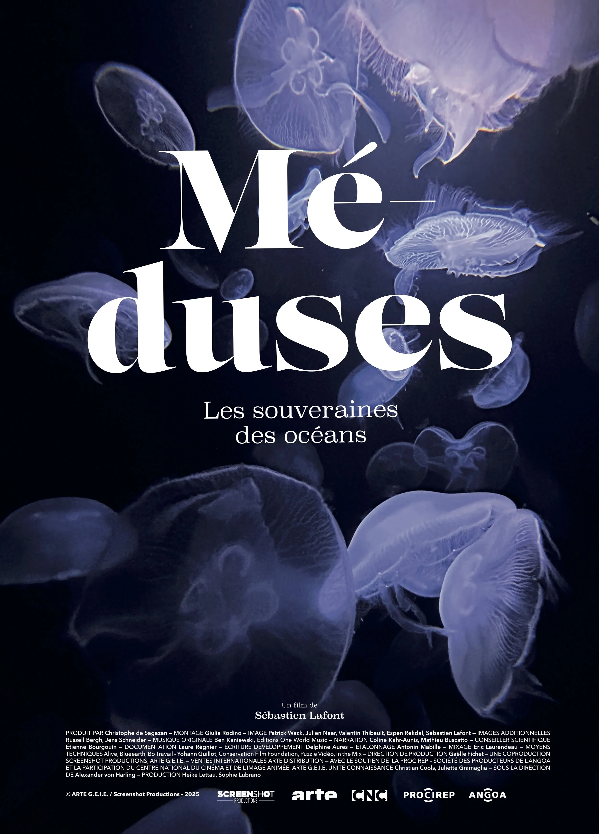Affiche du film