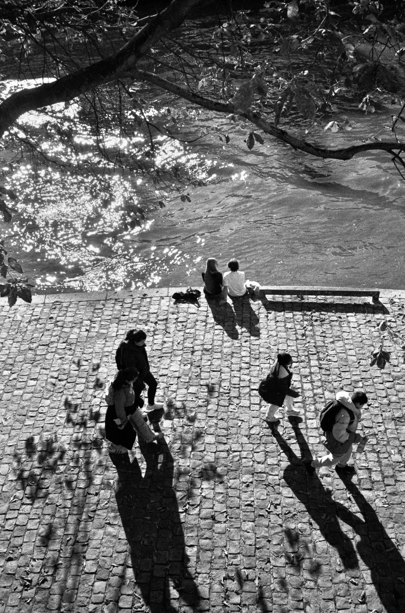 Bord de seine | Paris